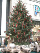 ��ë�ѥ륳�˹⤵8�᡼�ȥ���緿���ꥹ�ޥ��ĥ꡼�и�