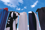 ��̾���۲�5�ͤΥ���ܡ���Ϥ��Ÿ�ס�hhstyle.com������Ź