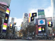 ��ƣ�Ļ��¤���ƽ��ο�������������ë���絬�ϥץ���