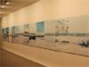 石塚元太良写真展